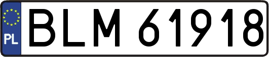BLM61918