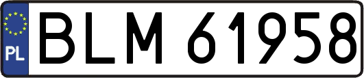 BLM61958