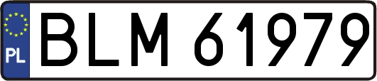 BLM61979