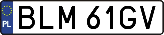 BLM61GV