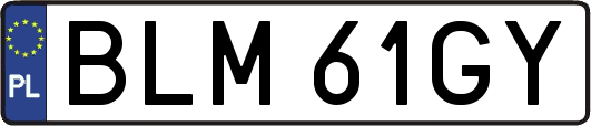 BLM61GY