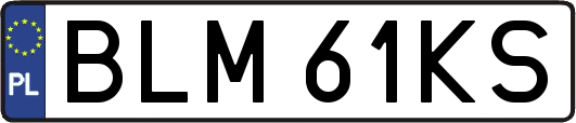 BLM61KS