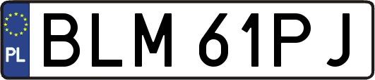 BLM61PJ