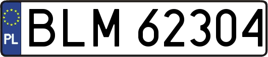 BLM62304