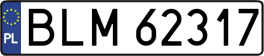 BLM62317
