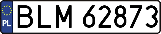 BLM62873