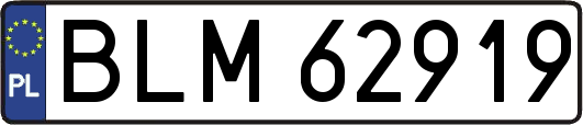 BLM62919