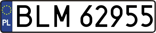 BLM62955