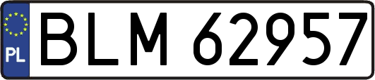BLM62957
