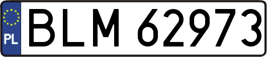 BLM62973