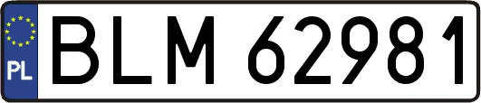 BLM62981