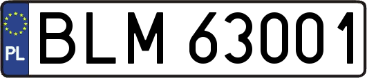 BLM63001