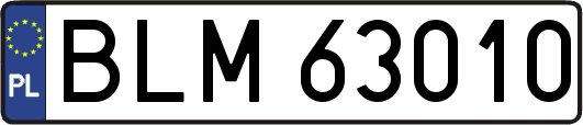 BLM63010