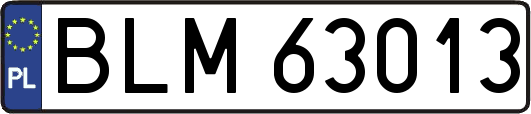 BLM63013