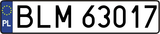 BLM63017