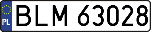 BLM63028