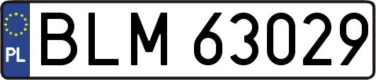 BLM63029