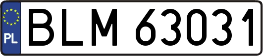 BLM63031