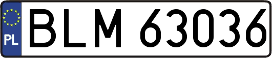 BLM63036