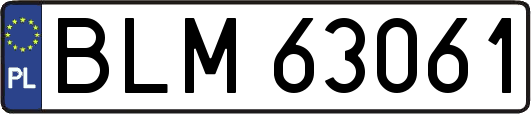BLM63061