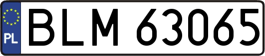 BLM63065