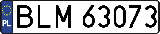 BLM63073