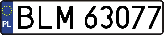 BLM63077