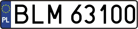 BLM63100