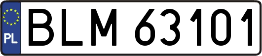 BLM63101