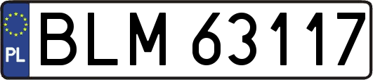 BLM63117
