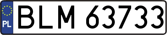 BLM63733