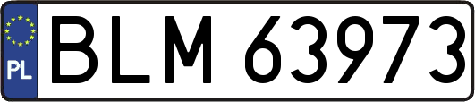 BLM63973
