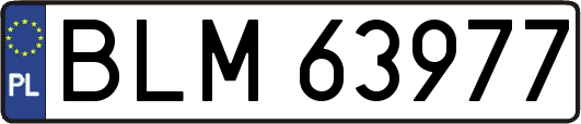 BLM63977