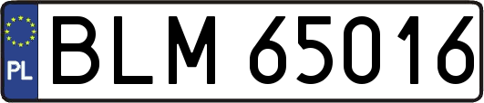 BLM65016