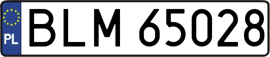 BLM65028