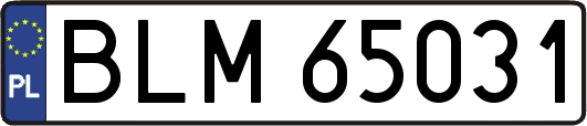 BLM65031