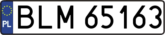 BLM65163