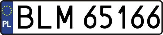 BLM65166