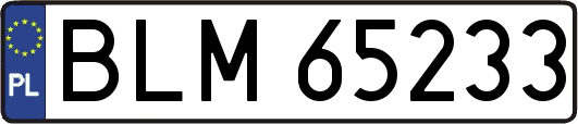 BLM65233