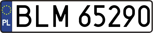 BLM65290
