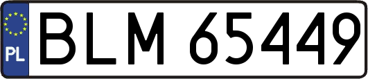 BLM65449