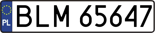 BLM65647