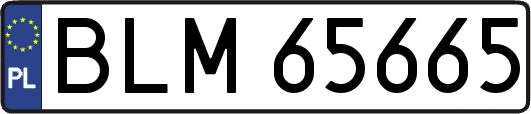 BLM65665