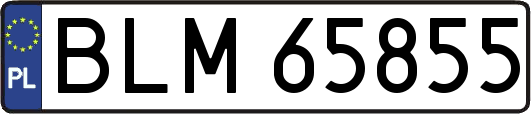 BLM65855