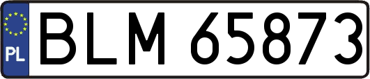 BLM65873