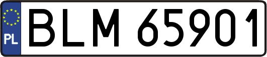 BLM65901