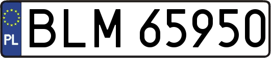 BLM65950