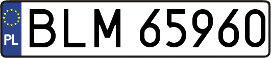 BLM65960