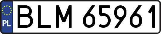BLM65961