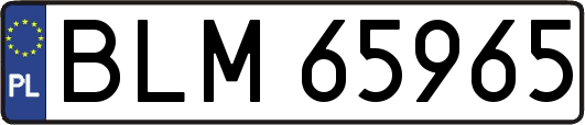 BLM65965